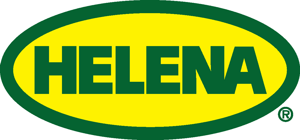 Helena