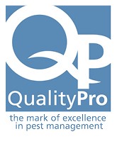 QP