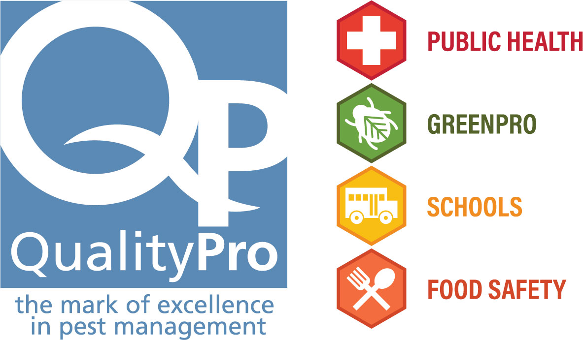 1-most-used-qp-logo-icons-lockup